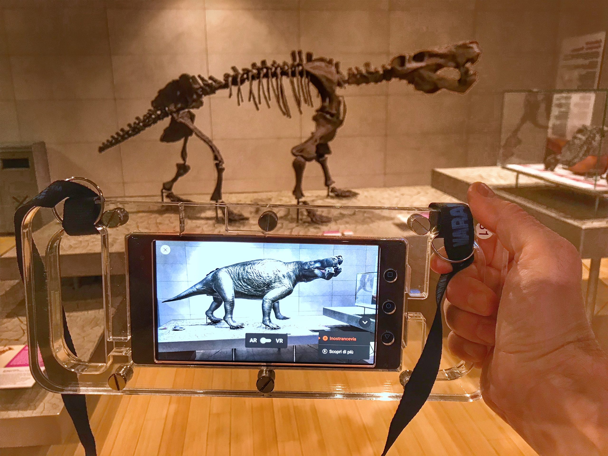 augmented reality dinosaur skeleton education